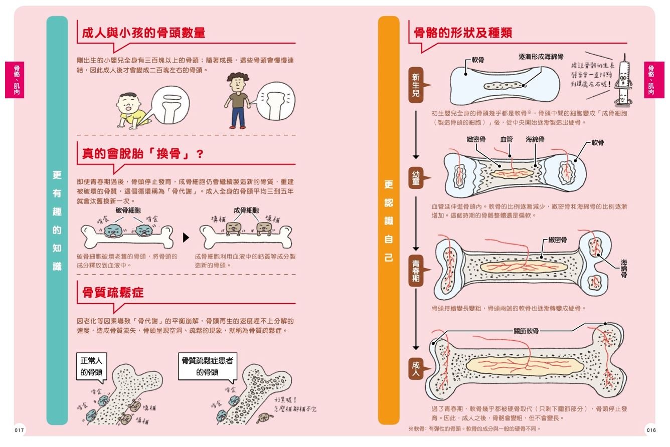 狸貓君與他的自然小夥伴 人體教室 最有梗的科學教室套書 親子天下shopping 親子教育電商第一品牌