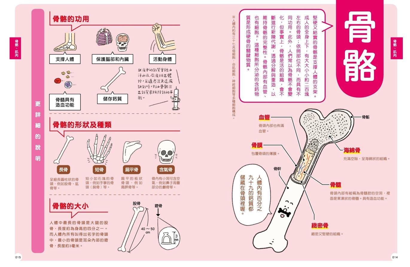 狸貓君與他的自然小夥伴 人體教室 最有梗的科學教室套書 親子天下shopping 親子教育電商第一品牌